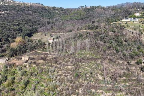 Helårsgrund i Ancede e Ribadouro, Porto, Ancede e Ribadouro - € 380.000 | Ref: 96355 - foto 20