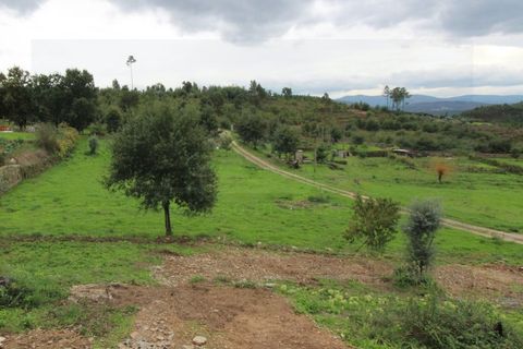 Farm i Arganil, Coimbra, Arganil - € 230.000 | Ref: 3000 MR - foto 11