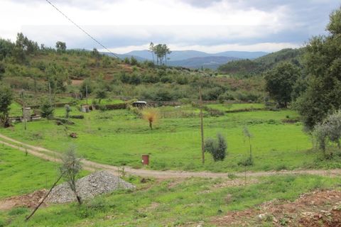 Farm i Arganil, Coimbra, Arganil - € 230.000 | Ref: 3000 MR - foto 14
