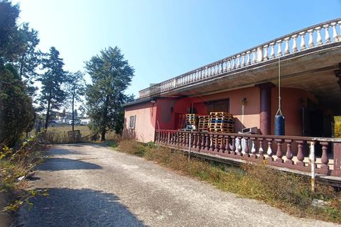 Erhvervsejendom i Benevento, Benevento, Benevento - € 365.000 | Ref: AA39404 - foto 8