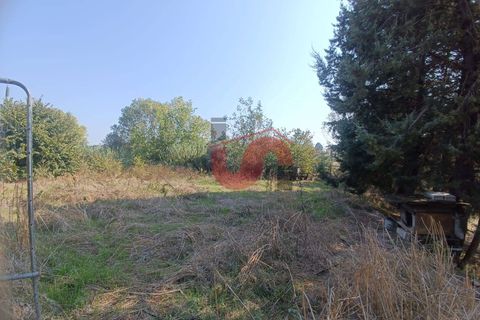 Erhvervsejendom i Benevento, Benevento, Benevento - € 365.000 | Ref: AA39404 - foto 12
