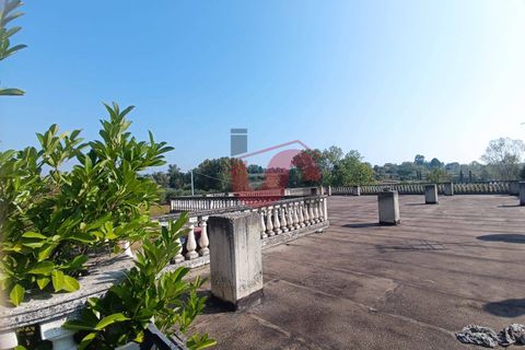Erhvervsejendom i Benevento, Benevento, Benevento - € 365.000 | Ref: AA39404 - foto 13