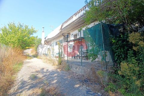 Erhvervsejendom i Benevento, Benevento, Benevento - € 365.000 | Ref: AA39404 - foto 15