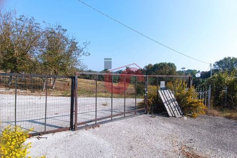 Erhvervsejendom i Benevento, Benevento, Benevento - € 365.000 | Ref: AA39404 - foto 16