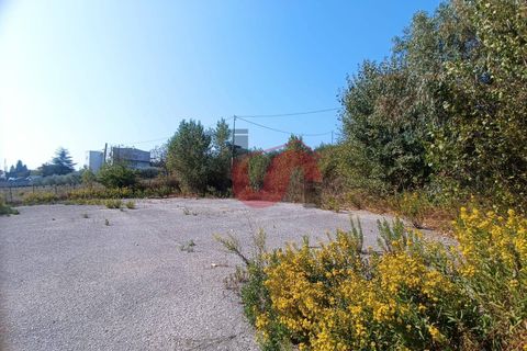 Erhvervsejendom i Benevento, Benevento, Benevento - € 365.000 | Ref: AA39404 - foto 17