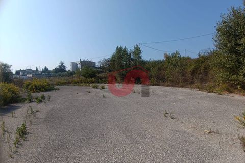Erhvervsejendom i Benevento, Benevento, Benevento - € 365.000 | Ref: AA39404 - foto 18