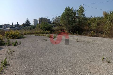 Erhvervsejendom i Benevento, Benevento, Benevento - € 365.000 | Ref: AA39404 - foto 19