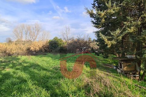 Erhvervsejendom i Benevento, Benevento, Benevento - € 365.000 | Ref: AA39404 - foto 32