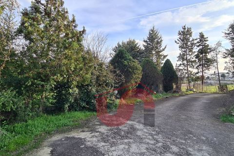 Erhvervsejendom i Benevento, Benevento, Benevento - € 365.000 | Ref: AA39404 - foto 39