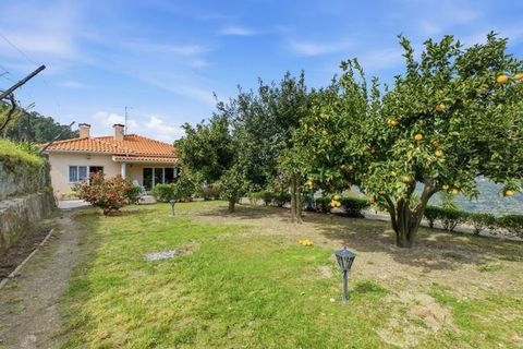 Farm i Resende, Viseu, Resende - € 350.000 | Ref: Q-30439 - foto 4