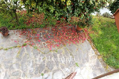 Villa i Camaiore, Lucca, Camaiore - € 490.000 | Ref: C484 - foto 22