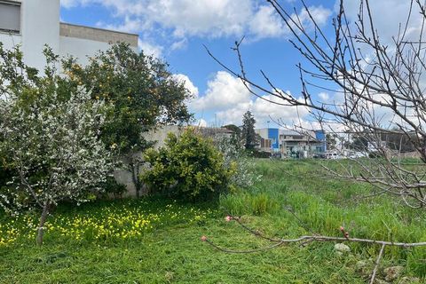 Terra a Ruffano, Lecce, Ruffano - € 79.000 | Ref: RNGP-79TER - foto 2