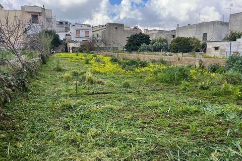 Terra a Ruffano, Lecce, Ruffano - € 79.000 | Ref: RNGP-79TER - foto 3
