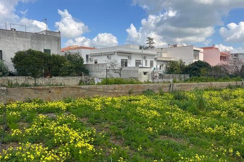 Terra a Ruffano, Lecce, Ruffano - € 79.000 | Ref: RNGP-79TER - foto 5