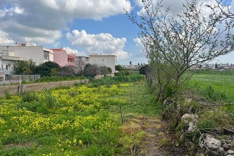Terra a Ruffano, Lecce, Ruffano - € 79.000 | Ref: RNGP-79TER - foto 11