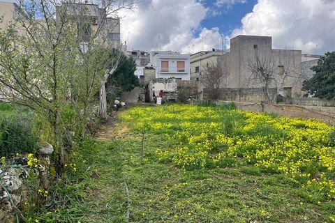 Terra a Ruffano, Lecce, Ruffano - € 79.000 | Ref: RNGP-79TER - foto 12