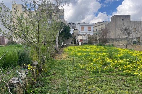 Terra a Ruffano, Lecce, Ruffano - € 79.000 | Ref: RNGP-79TER - foto 13