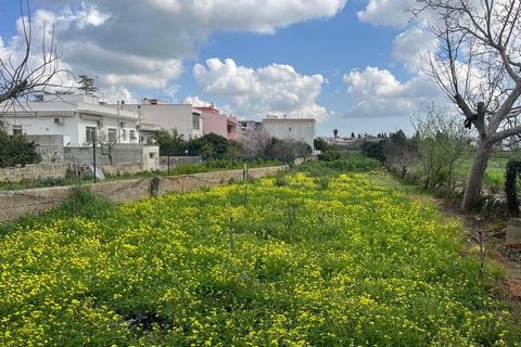 Terra a Ruffano, Lecce, Ruffano - € 79.000 | Ref: RNGP-79TER - foto 14