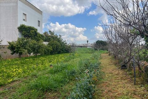 Terra a Ruffano, Lecce, Ruffano - € 79.000 | Ref: RNGP-79TER - foto 15