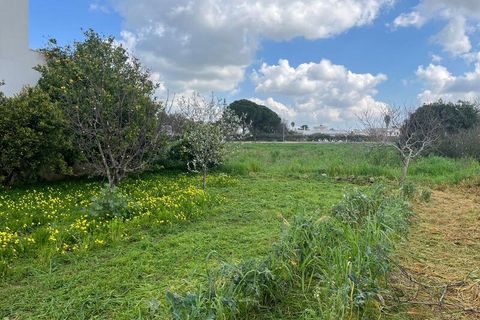 Terra a Ruffano, Lecce, Ruffano - € 79.000 | Ref: RNGP-79TER - foto 16