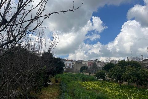 Terra a Ruffano, Lecce, Ruffano - € 79.000 | Ref: RNGP-79TER - foto 17