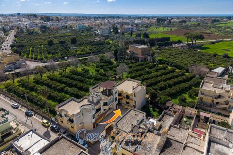 Lejlighed i Alezio, Lecce, Alezio - € 168.000 | Ref: ALIL-168 - foto 27