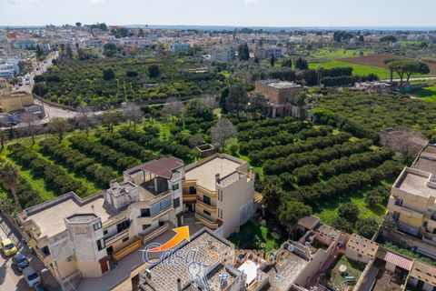 Lejlighed i Alezio, Lecce, Alezio - € 168.000 | Ref: ALIL-168 - foto 28