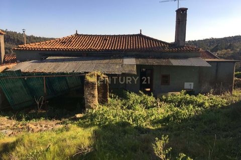 Villa i Anadia, Aveiro, Anadia - € 65.000 | Ref: C0385-00980 - foto 5