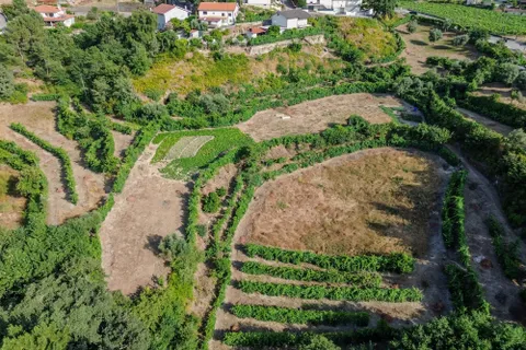 Villa i Madalena, Pico, Madalena - € 535.000 | Ref: C0393-01322 - foto 15