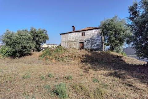 Villa i Madalena, Pico, Madalena - € 535.000 | Ref: C0393-01322 - foto 18