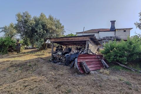 Villa i Madalena, Pico, Madalena - € 535.000 | Ref: C0393-01322 - foto 31