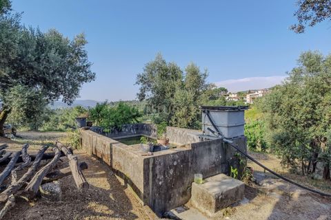 Villa i Madalena, Pico, Madalena - € 535.000 | Ref: C0393-01322 - foto 32