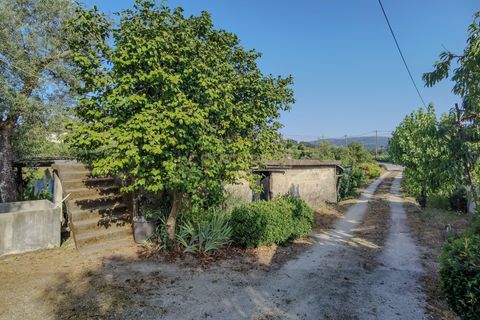 Villa i Madalena, Pico, Madalena - € 535.000 | Ref: C0393-01322 - foto 33