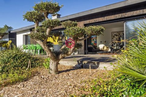 Villa a Sorèze, Tarn, Sorèze - € 799.000 | Ref: NV046 - foto 11