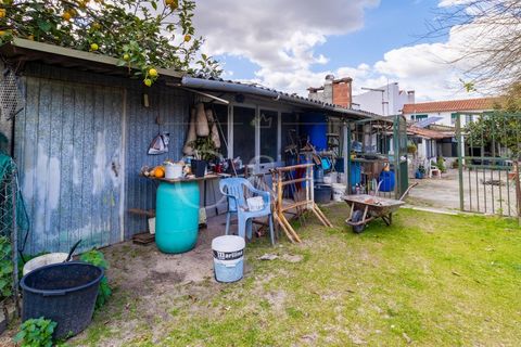 Villa i Alpiarca, Santarem, Alpiarca - € 290.000 | Ref: CAS_422 - foto 25