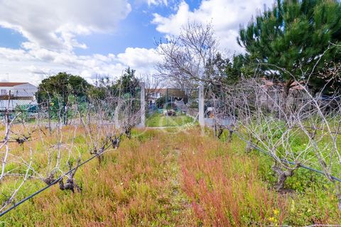 Villa i Alpiarca, Santarem, Alpiarca - € 290.000 | Ref: CAS_422 - foto 26