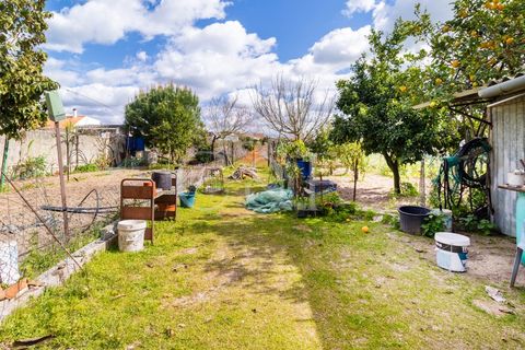 Villa i Alpiarca, Santarem, Alpiarca - € 290.000 | Ref: CAS_422 - foto 28