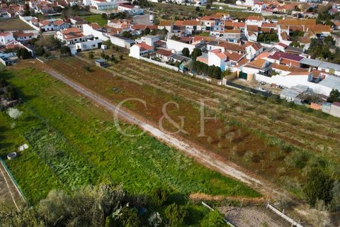 Villa i Alpiarca, Santarem, Alpiarca - € 290.000 | Ref: CAS_422 - foto 33