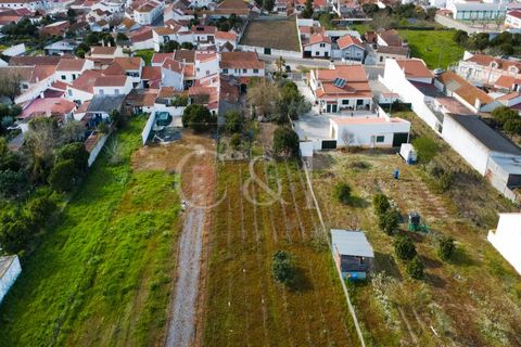Villa i Alpiarca, Santarem, Alpiarca - € 290.000 | Ref: CAS_422 - foto 34