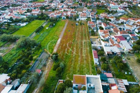 Villa i Alpiarca, Santarem, Alpiarca - € 290.000 | Ref: CAS_422 - foto 36