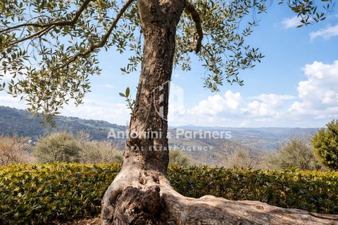 Byhus i Todi, Perugia, Todi - € 175.000 | Ref: 74001 - foto 18