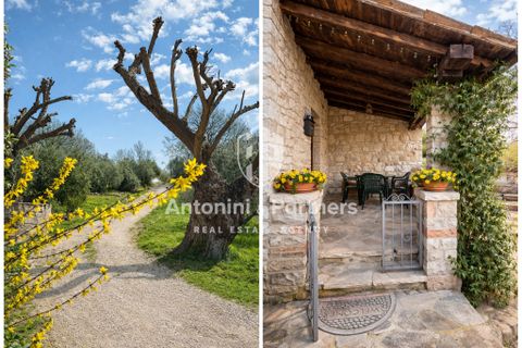Byhus i Todi, Perugia, Todi - € 175.000 | Ref: 74001 - foto 22