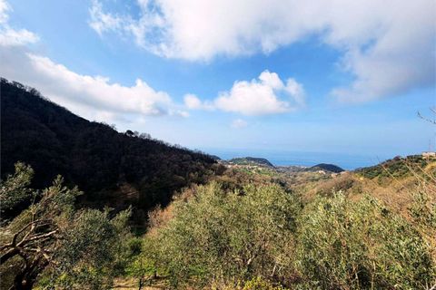 Byhus i Belvedere Marittimo, Cosenza, Belvedere Marittimo - € 59.000 | Ref: 1507 - foto 2