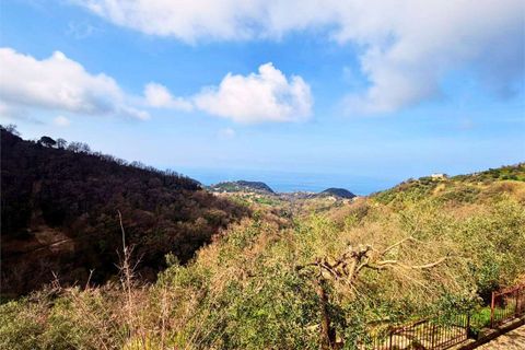 Byhus i Belvedere Marittimo, Cosenza, Belvedere Marittimo - € 59.000 | Ref: 1507 - foto 3