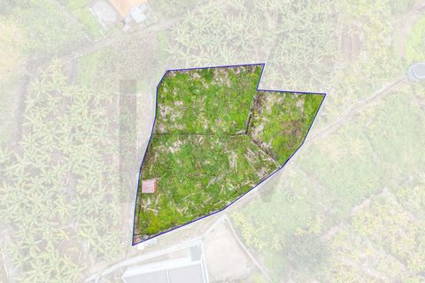Helårsgrund i Calheta, Madeira, Calheta - € 55.000 | Ref: KWPT-030196 - foto 1