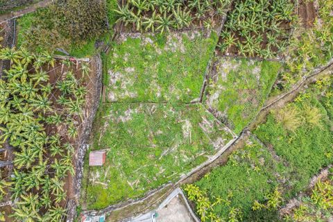 Helårsgrund i Calheta, Madeira, Calheta - € 55.000 | Ref: KWPT-030196 - foto 2