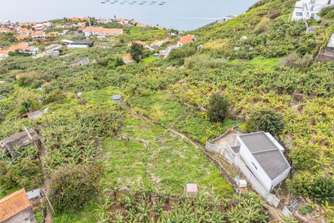 Helårsgrund i Calheta, Madeira, Calheta - € 55.000 | Ref: KWPT-030196 - foto 3