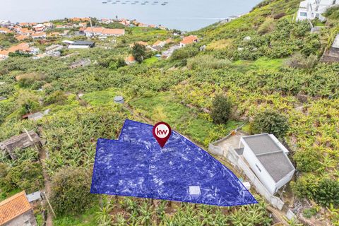 Helårsgrund i Calheta, Madeira, Calheta - € 55.000 | Ref: KWPT-030196 - foto 4