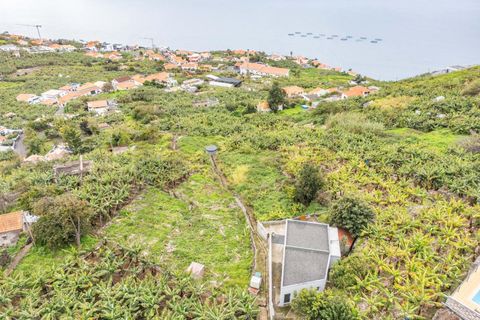 Helårsgrund i Calheta, Madeira, Calheta - € 55.000 | Ref: KWPT-030196 - foto 5