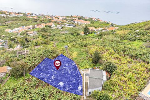 Helårsgrund i Calheta, Madeira, Calheta - € 55.000 | Ref: KWPT-030196 - foto 6